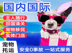 白山航空运输国际宠物托运 【国